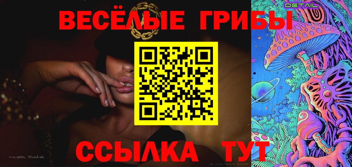 Псилоцибиновые грибы GOLDEN TEACHER Сосновый Бор