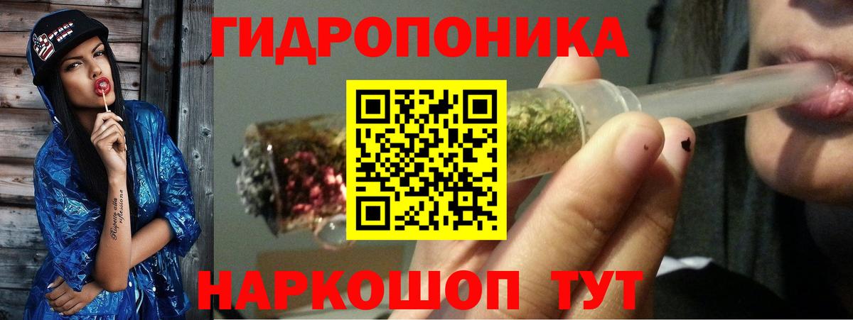 ГАШ  Гашиш  Сосновый Бор  ЭКСТАЗИ  Мефедрон кристаллы  Бошки Шишки  Кокаин  Вход с VPN 